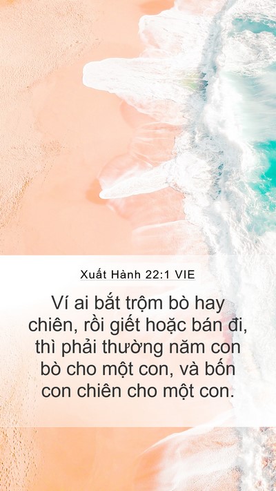 Xuất Hành 22:1 VIE Bible Verse Image