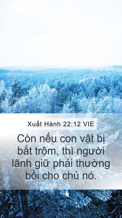Xuất Hành 22:12 VIE Bible Verse Image