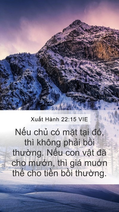 Xuất Hành 22:15 VIE Mobile Phone Wallpaper - Nếu chủ có mặt tại đó, thì không - Mobile Bible Verse Wallpaper