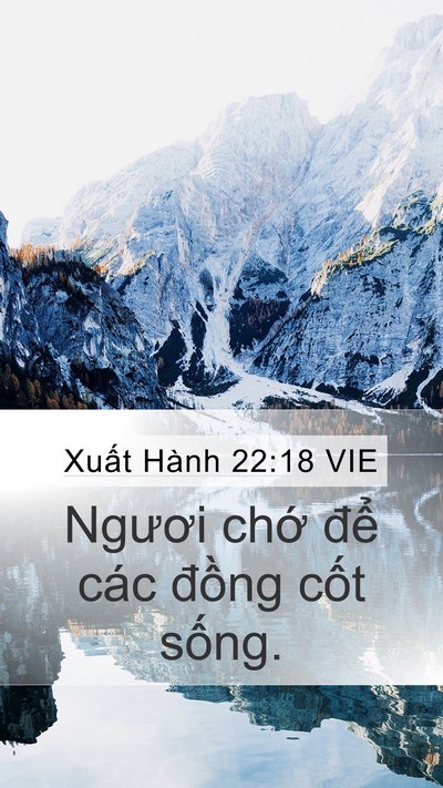 Xuất Hành 22:18 VIE Bible Verse Image