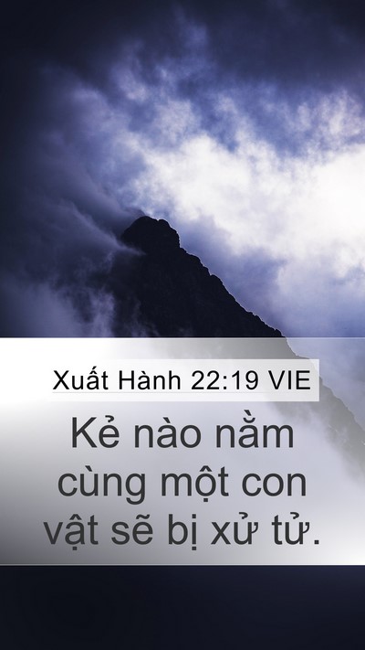 Xuất Hành 22:19 VIE Bible Verse Image