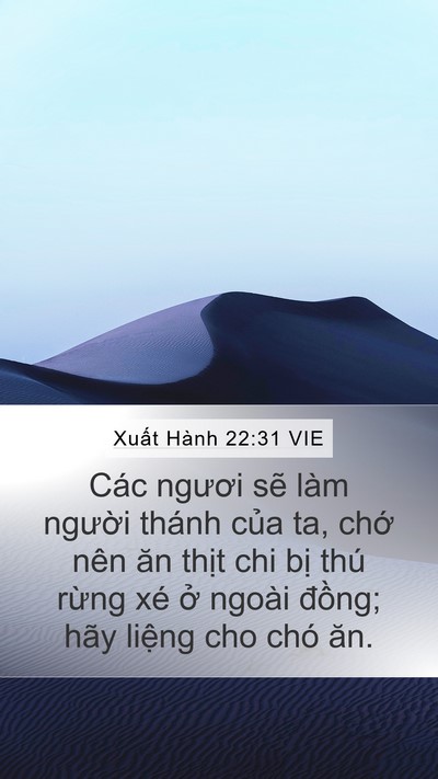 Xuất Hành 22:31 VIE Bible Verse Image