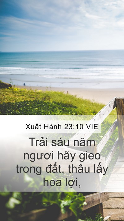 Xuất Hành 23:10 VIE Bible Verse Image