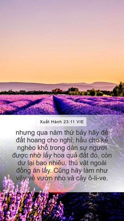 Xuất Hành 23:11 VIE Bible Verse Image