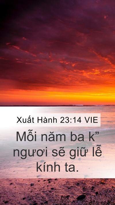 Xuất Hành 23:14 VIE Bible Verse Image