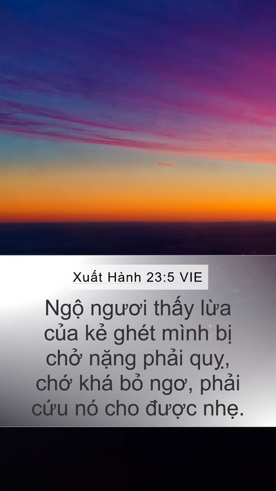 Xuất Hành 23:5 VIE Bible Verse Image