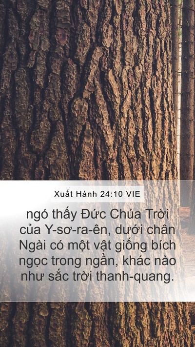 Xuất Hành 24:10 VIE Bible Verse Image