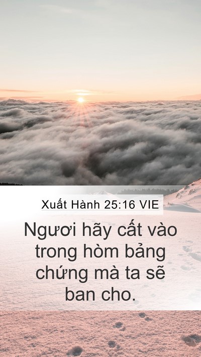 Xuất Hành 25:16 VIE Bible Verse Image