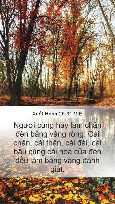 Xuất Hành 25:31 VIE Bible Verse Image