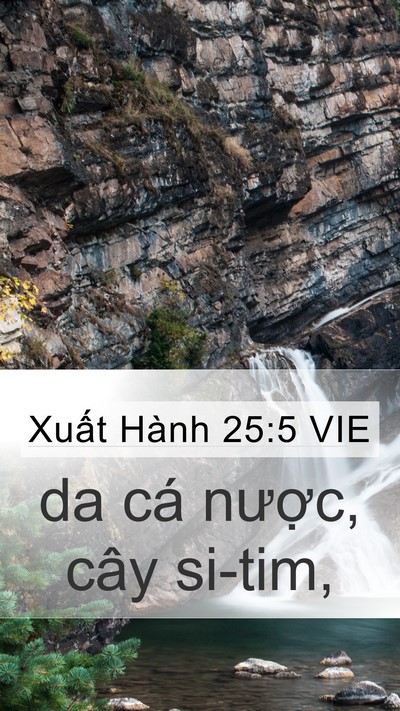 Xuất Hành 25:5 VIE Bible Verse Image