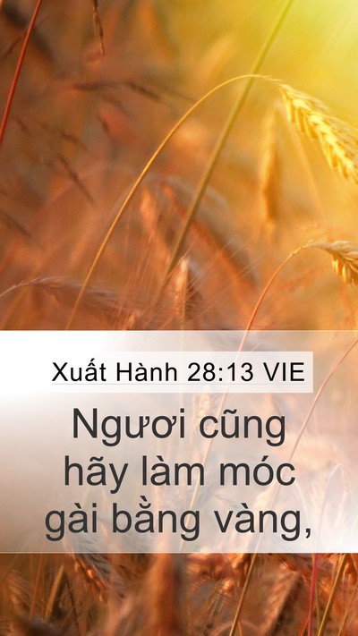 Xuất Hành 28:13 VIE Bible Verse Image