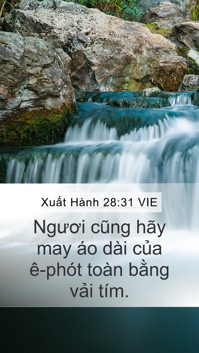 Xuất Hành 28:31 VIE Mobile Phone Wallpaper - Ngươi cũng hãy may áo dài của ê-phót - Mobile Bible Verse Wallpaper