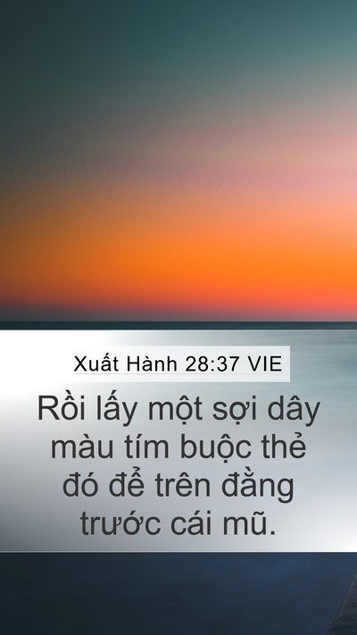 Xuất Hành 28:37 VIE Mobile Phone Wallpaper - Rồi lấy một sợi dây màu tím buộc - Mobile Bible Verse Wallpaper