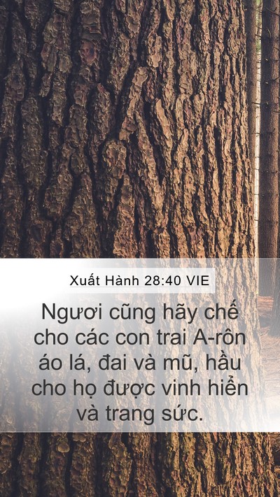 Xuất Hành 28:40 VIE Bible Verse Image