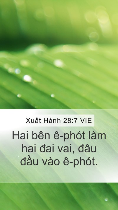 Xuất Hành 28:7 VIE Mobile Phone Wallpaper - Hai bên ê-phót làm hai đai vai, đâu đầu - Mobile Bible Verse Wallpaper