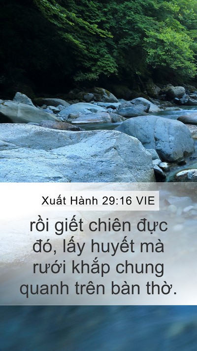 Xuất Hành 29:16 VIE Bible Verse Image