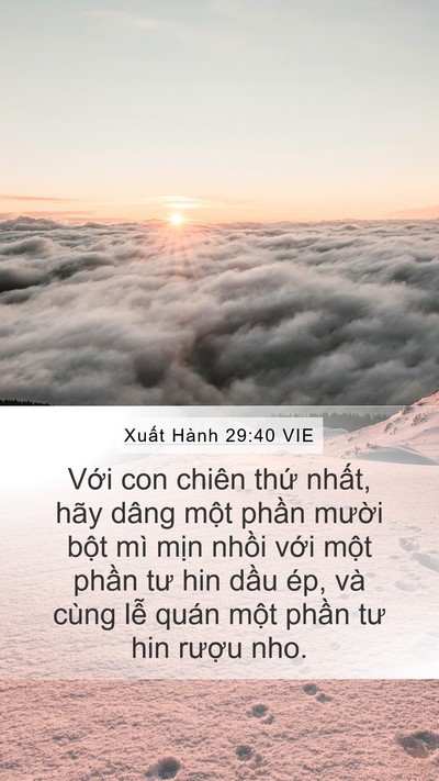 Xuất Hành 29:40 VIE Bible Verse Image