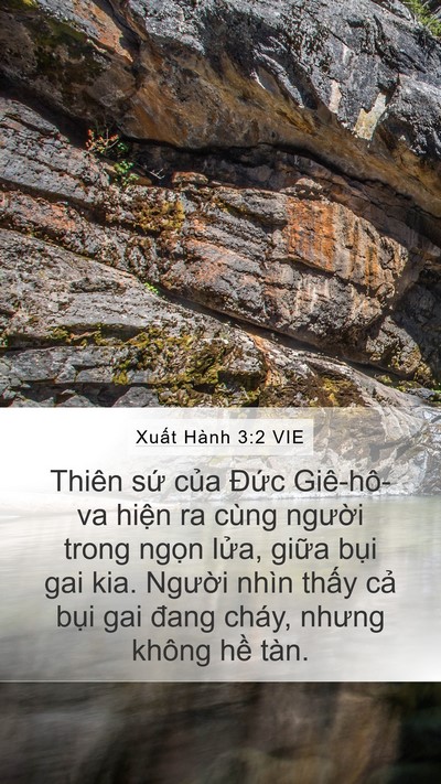 Xuất Hành 3:2 VIE Bible Verse Image