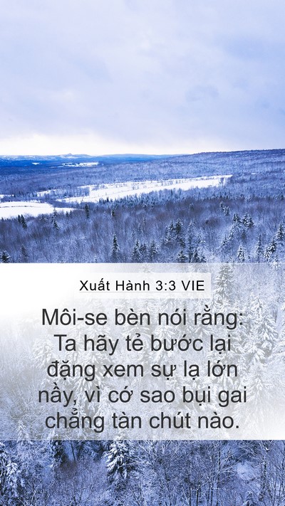Xuất Hành 3:3 VIE Bible Verse Image