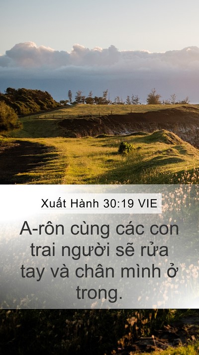 Xuất Hành 30:19 VIE Bible Verse Image