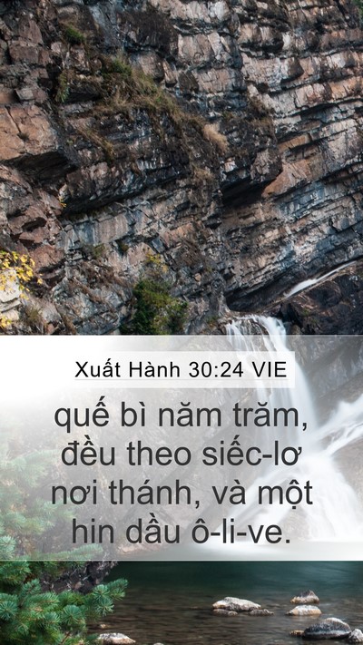 Xuất Hành 30:24 VIE Bible Verse Image