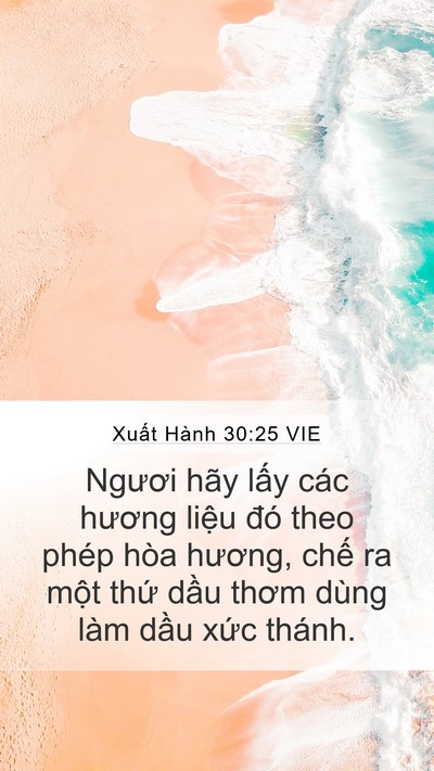 Xuất Hành 30:25 VIE Bible Verse Image