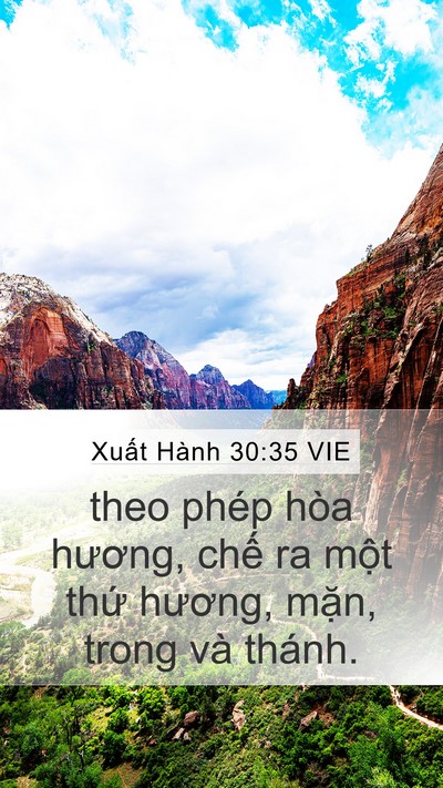 Xuất Hành 30:35 VIE Mobile Phone Wallpaper - theo phép hòa hương, chế ra một thứ - Mobile Bible Verse Wallpaper