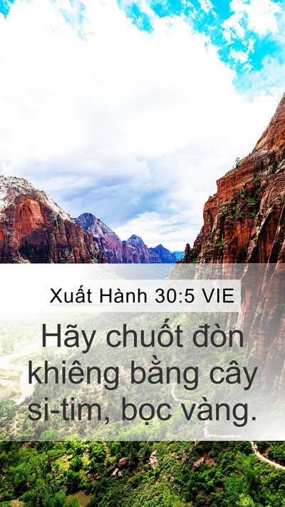 Xuất Hành 30:5 VIE Bible Verse Image