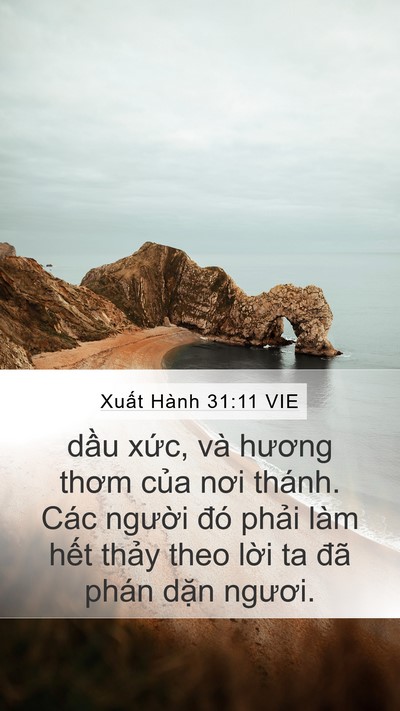 Xuất Hành 31:11 VIE Bible Verse Image