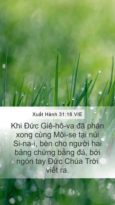 Xuất Hành 31:18 VIE Mobile Phone Wallpaper - Khi Đức Giê-hô-va đã phán xong cùng - Mobile Bible Verse Wallpaper
