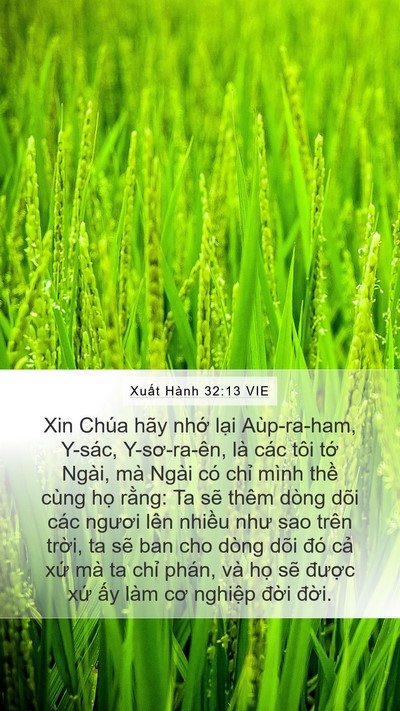 Xuất Hành 32:13 VIE Bible Verse Image