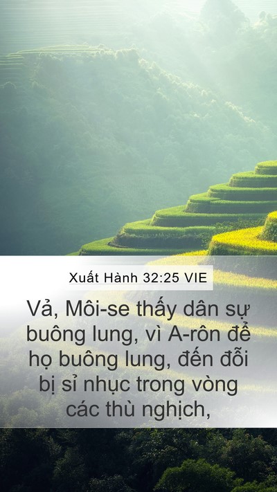 Xuất Hành 32:25 VIE Bible Verse Image