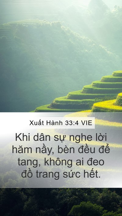 Xuất Hành 33:4 VIE Bible Verse Image