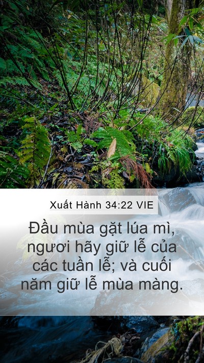 Xuất Hành 34:22 VIE Bible Verse Image
