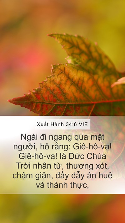 Xuất Hành 34:6 VIE Bible Verse Image