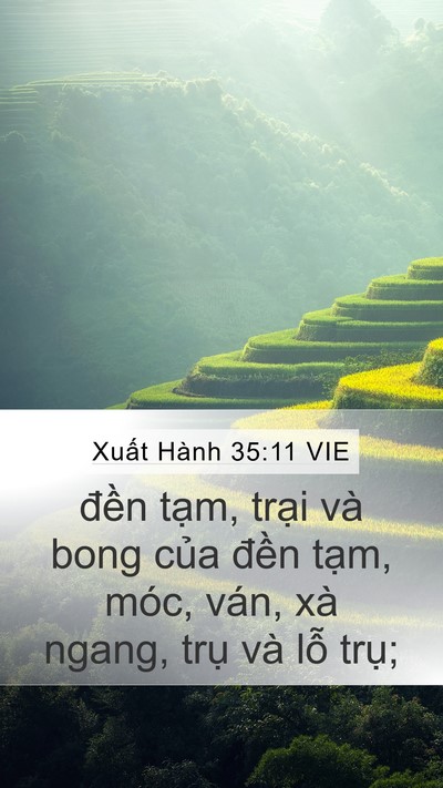 Xuất Hành 35:11 VIE Bible Verse Image