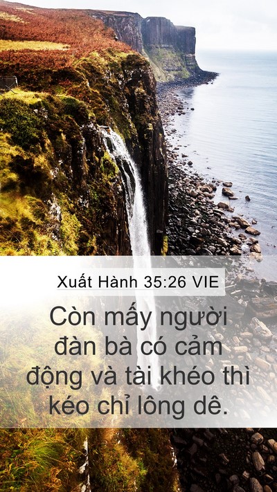 Xuất Hành 35:26 VIE Bible Verse Image