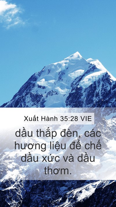 Xuất Hành 35:28 VIE Mobile Phone Wallpaper - dầu thắp đèn, các hương liệu để - Mobile Bible Verse Wallpaper