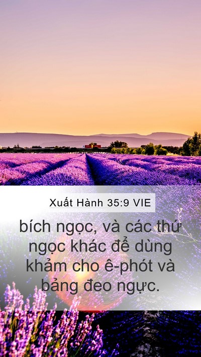 Xuất Hành 35:9 VIE Bible Verse Image