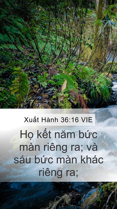 Xuất Hành 36:16 VIE Mobile Phone Wallpaper - Họ kết năm bức màn riêng ra; và sáu - Mobile Bible Verse Wallpaper