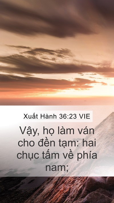 Xuất Hành 36:23 VIE Mobile Phone Wallpaper - Vậy, họ làm ván cho đền tạm: hai - Mobile Bible Verse Wallpaper