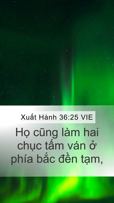 Xuất Hành 36:25 VIE Mobile Phone Wallpaper - Họ cũng làm hai chục tấm ván ở phía - Mobile Bible Verse Wallpaper