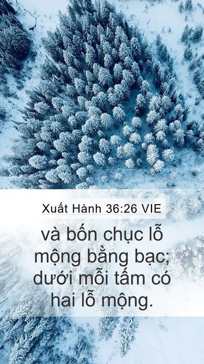 Xuất Hành 36:26 VIE Mobile Phone Wallpaper - và bốn chục lỗ mộng bằng bạc; - Mobile Bible Verse Wallpaper