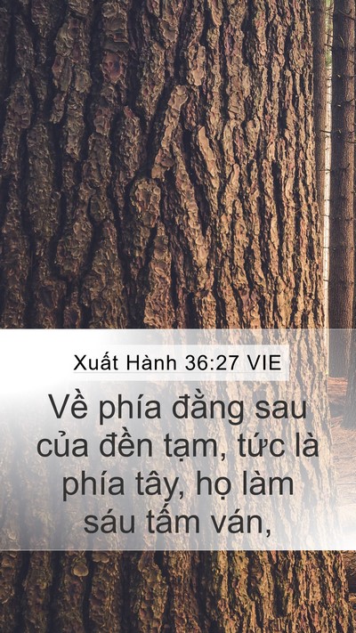 Xuất Hành 36:27 VIE Mobile Phone Wallpaper - Về phía đằng sau của đền tạm, tức - Mobile Bible Verse Wallpaper