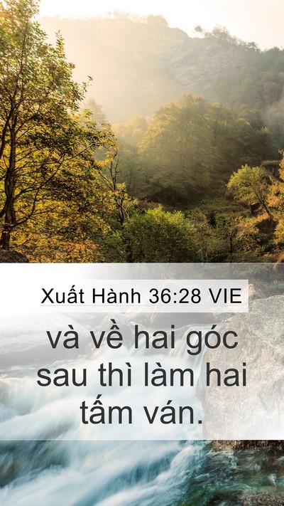 Xuất Hành 36:28 VIE Mobile Phone Wallpaper - và về hai góc sau thì làm hai tấm - Mobile Bible Verse Wallpaper
