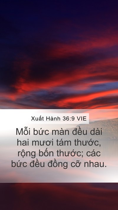 Xuất Hành 36:9 VIE Mobile Phone Wallpaper - Mỗi bức màn đều dài hai mươi tám - Mobile Bible Verse Wallpaper
