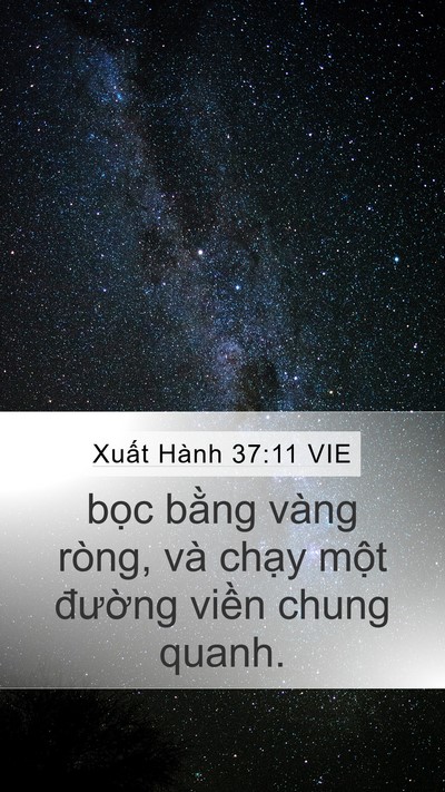Xuất Hành 37:11 VIE Mobile Phone Wallpaper - bọc bằng vàng ròng, và chạy một - Mobile Bible Verse Wallpaper