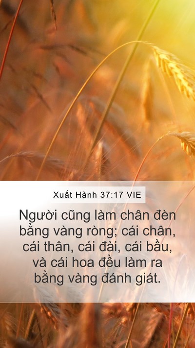 Xuất Hành 37:17 VIE Bible Verse Image