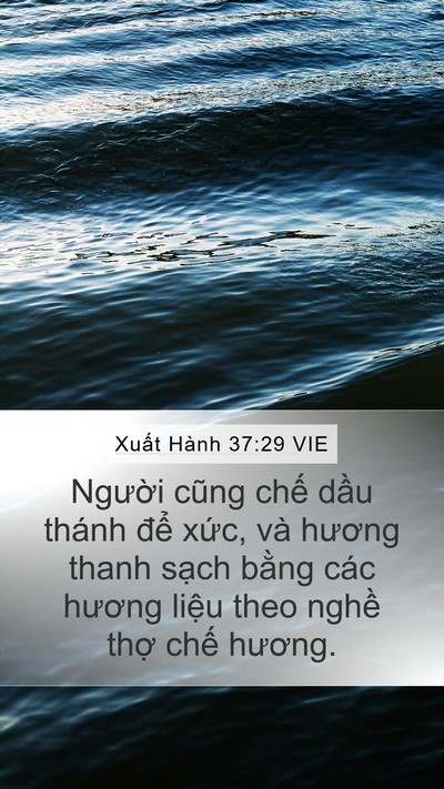 Xuất Hành 37:29 VIE Mobile Phone Wallpaper - Người cũng chế dầu thánh để xức, - Mobile Bible Verse Wallpaper