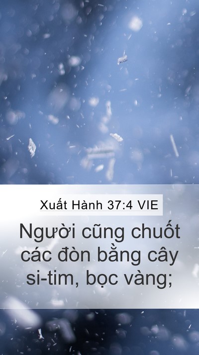 Xuất Hành 37:4 VIE Bible Verse Image